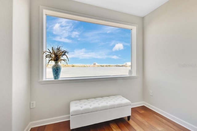 living area with baseboards and wood finished floors