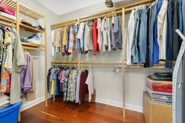 spacious closet featuring wood finished floors