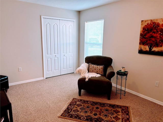 living area featuring baseboards and carpet floors