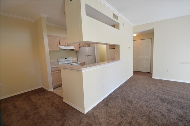 kitchen with under cabinet range hood, white appliances, carpet, and crown molding