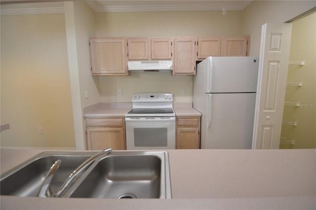 kitchen featuring white appliances, light brown cabinets, under cabinet range hood, and a sink