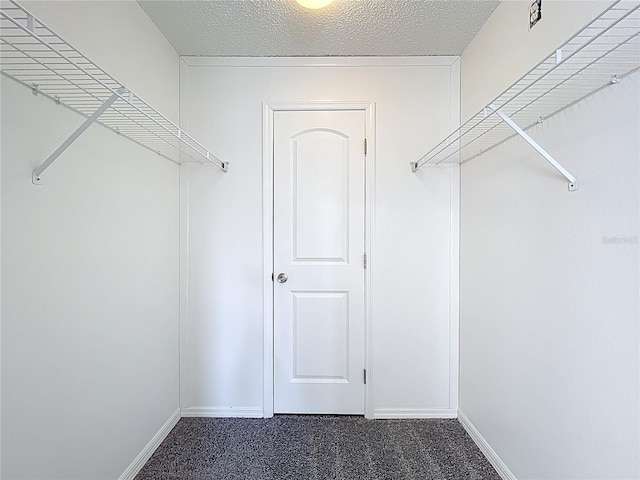 walk in closet with carpet floors