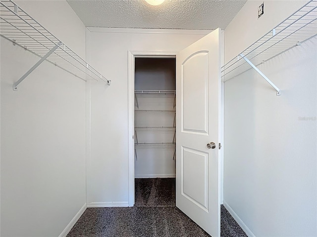 spacious closet featuring carpet flooring