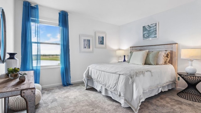 132 Adventure Ave, Davenport, FL 33837 - bedroom with multiple windows, carpet floors, and baseboards