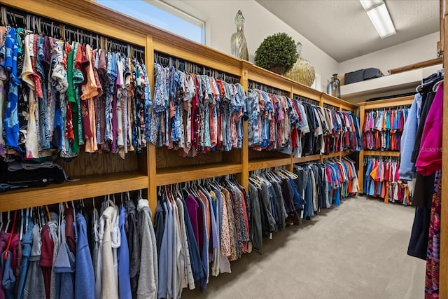 walk in closet featuring carpet