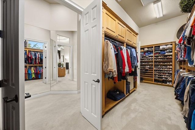 spacious closet with light colored carpet