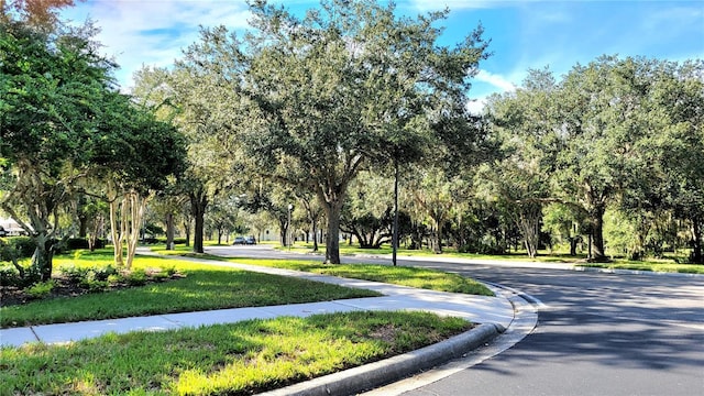 view of home's community featuring a lawn