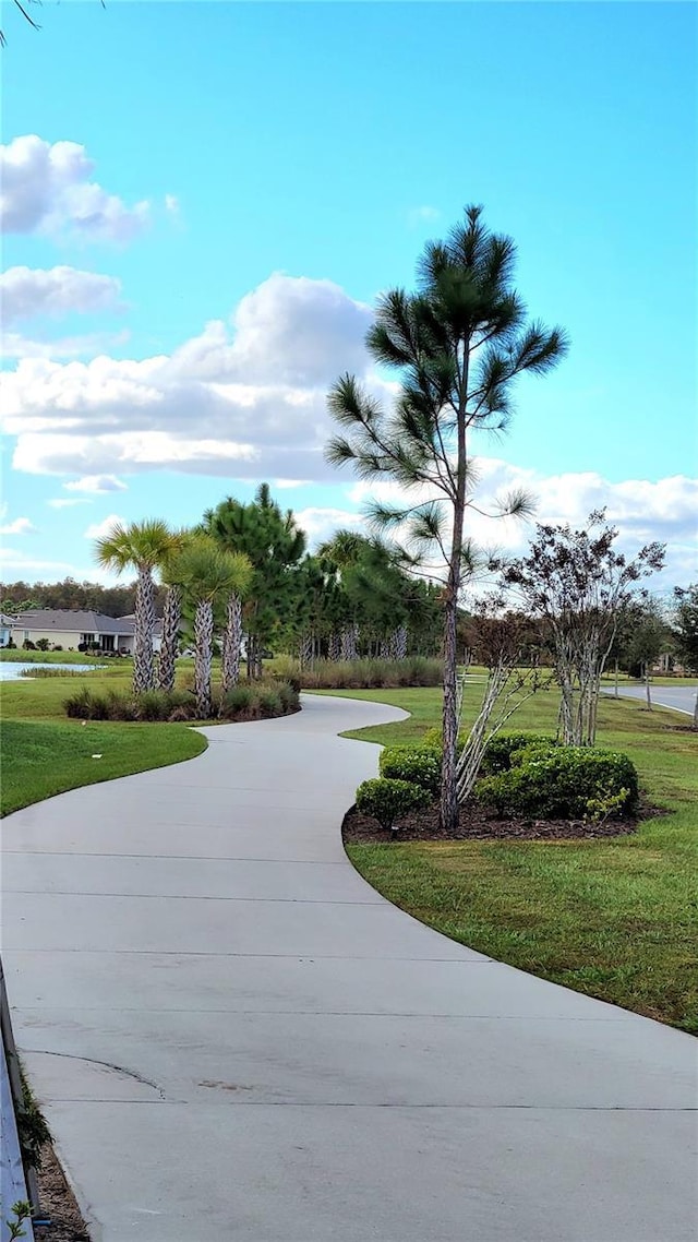 view of property's community featuring curved driveway and a lawn