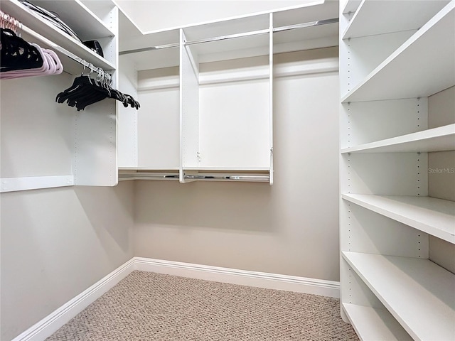 walk in closet with carpet