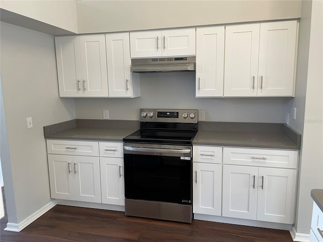 kitchen with white cabinetry, under cabinet range hood, and stainless steel range with electric cooktop