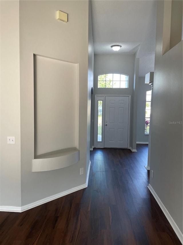 foyer entrance featuring baseboards and dark wood-style floors