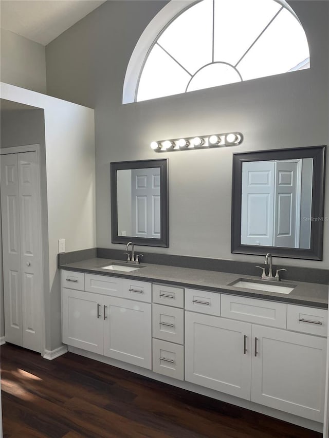 bathroom with a sink, wood finished floors, and double vanity