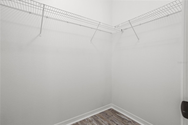 walk in closet featuring dark wood-style floors