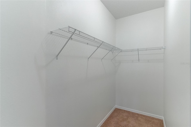 4770 Cypress Forest Ln, Saint Cloud, FL 34772 - photo 29