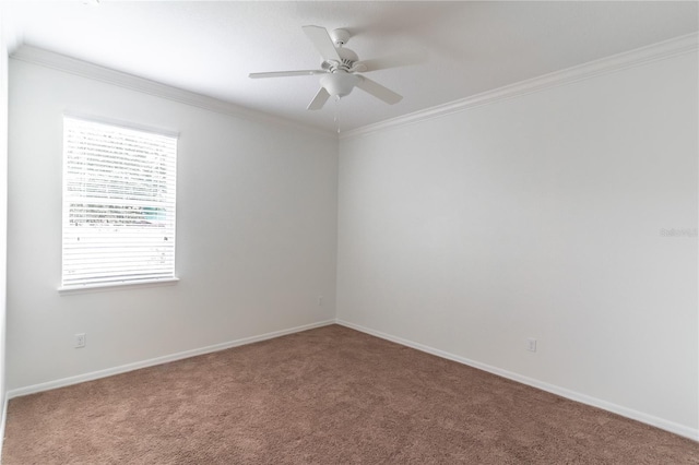 4770 Cypress Forest Ln, Saint Cloud, FL 34772 - photo 42