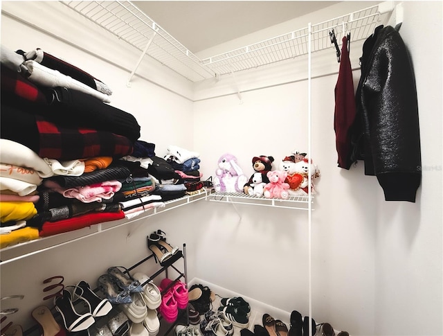 view of walk in closet