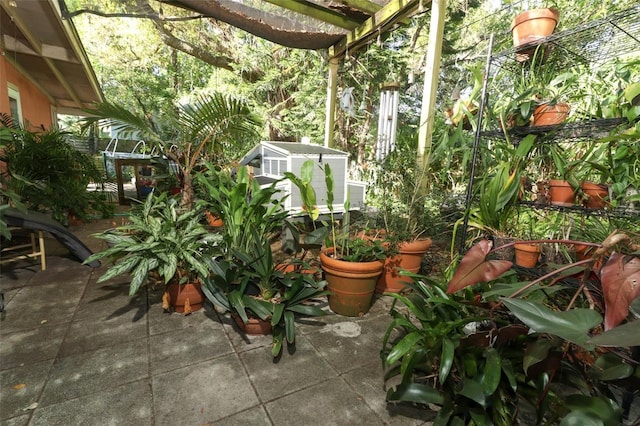 view of patio featuring an outbuilding and a storage unit