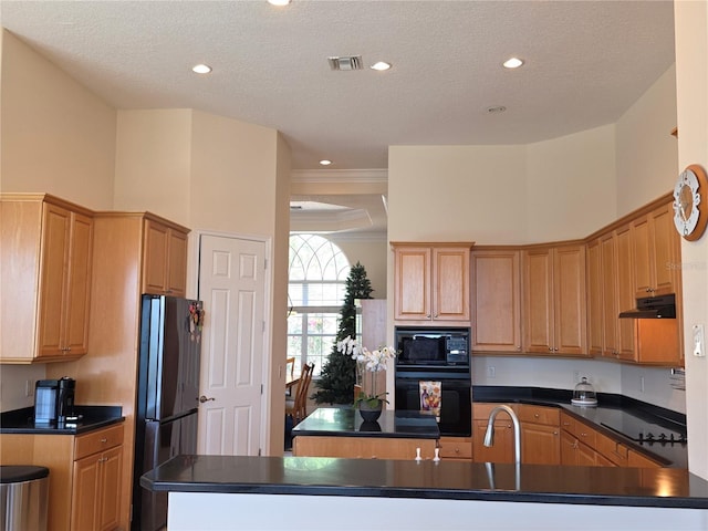 9137 Southern Breeze Dr, Orlando, FL 32836 - kitchen with visible vents, under cabinet range hood, black appliances, and dark countertops