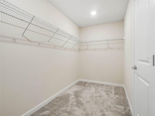 spacious closet featuring light carpet