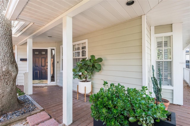 property entrance featuring covered porch