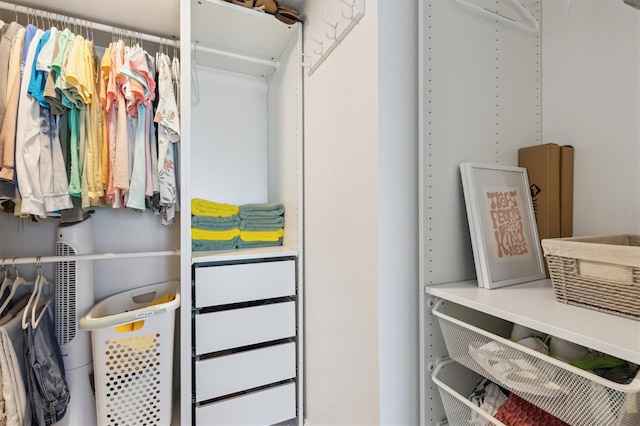 view of spacious closet