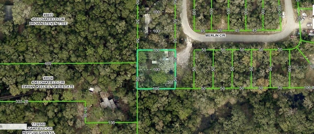 4809 Merlin Cir, Ridge Manor, FL 33523