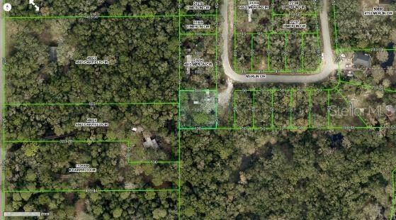 4809 Merlin Cir, Ridge Manor, FL 33523