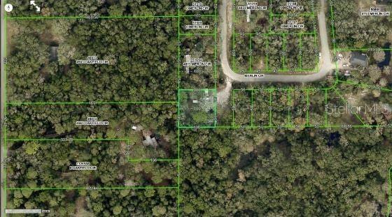 4809 Merlin Cir, Ridge Manor, FL 33523