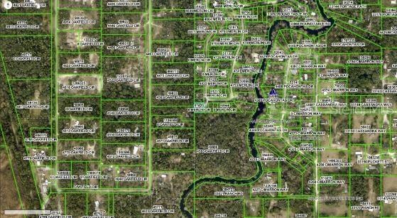 4809 Merlin Cir, Ridge Manor, FL 33523