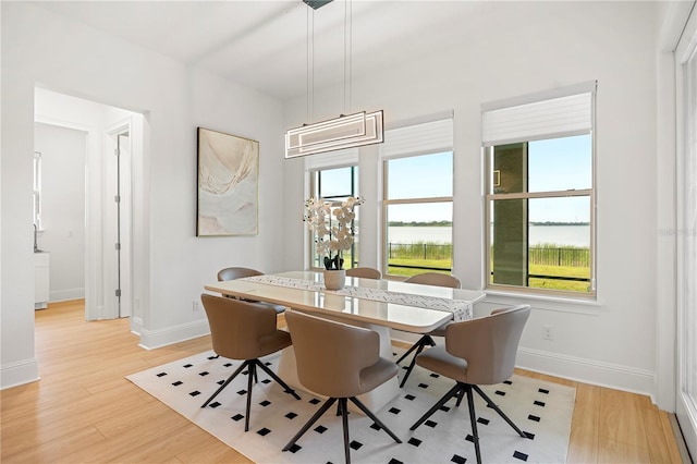 16689 Broadwater Ave, Winter Garden, FL 34787 - dining area with baseboards, a water view, and light wood-type flooring