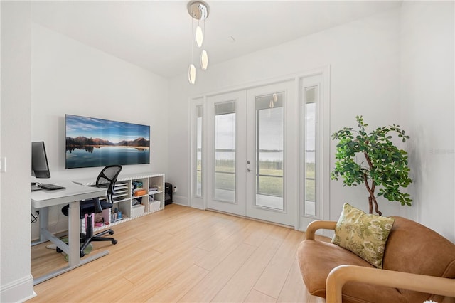 16689 Broadwater Ave, Winter Garden, FL 34787 - office space featuring wood finished floors and french doors