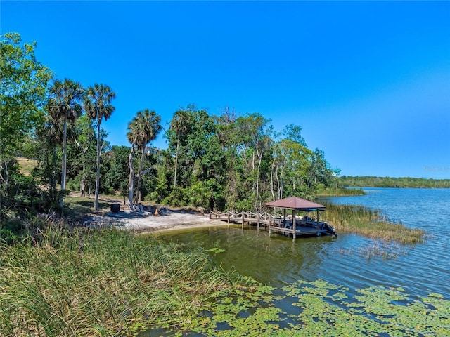 16752 Caravaggio Loop, Montverde, FL 34756 - dock featuring a water view