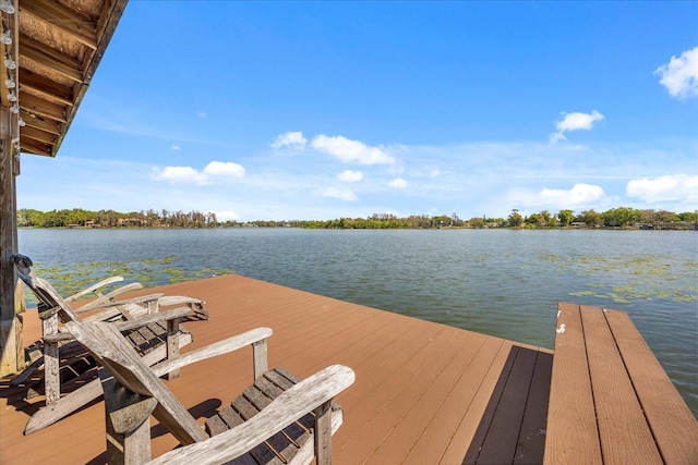 5400 Kenmore Ln, Orlando, FL 32839 - photo 58