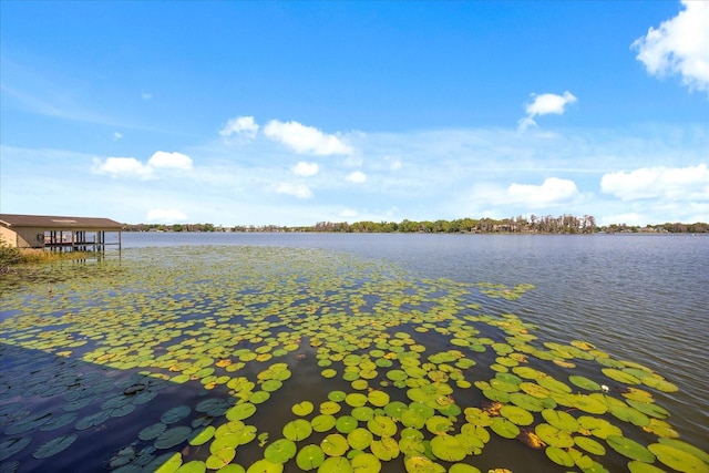 5400 Kenmore Ln, Orlando, FL 32839 - photo 65