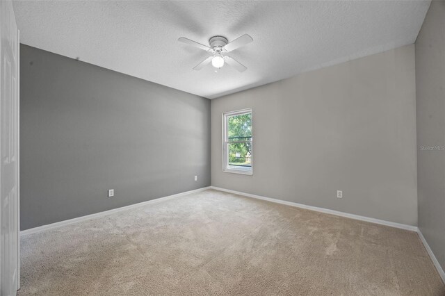 2204 Hammock Moss Dr, Orlando, FL 32820 - photo 28