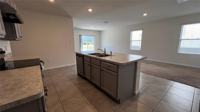 2597 Shamrock St, Tavares, FL 32778 - kitchen with carpet floors, plenty of natural light, a sink, under cabinet range hood, and dishwasher
