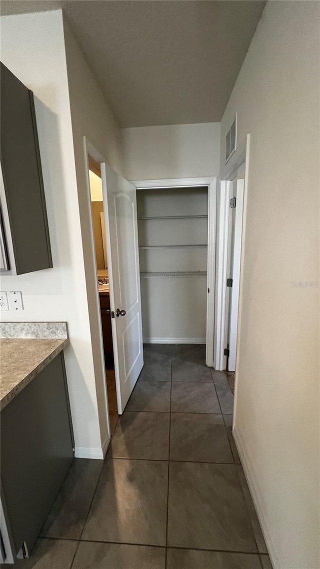 2597 Shamrock St, Tavares, FL 32778 - hall featuring dark tile patterned floors, baseboards, and visible vents