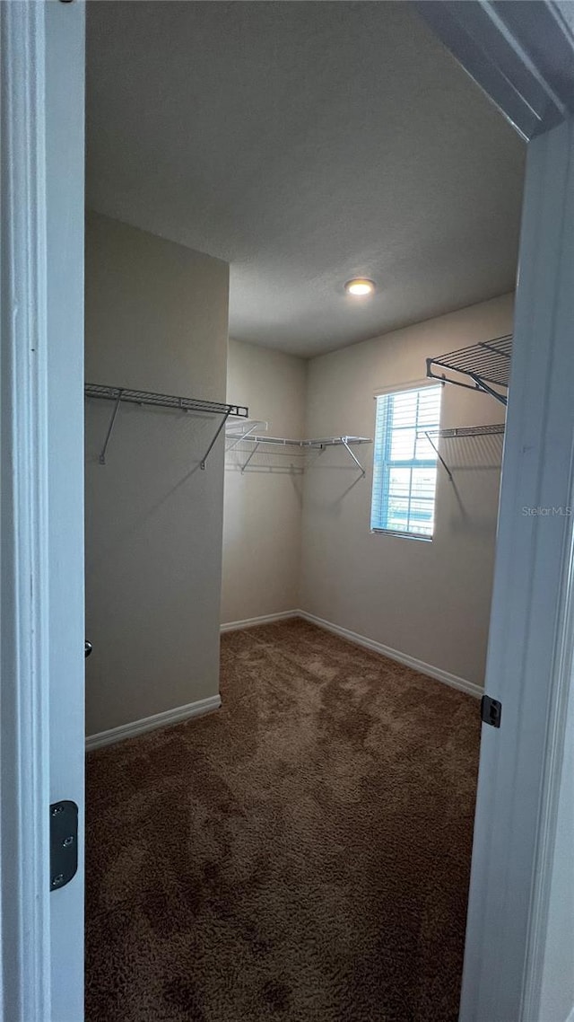 2597 Shamrock St, Tavares, FL 32778 - walk in closet featuring carpet floors
