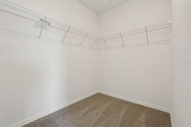 4550 Windy Oak Way, Saint Cloud, FL 34772 - photo 21