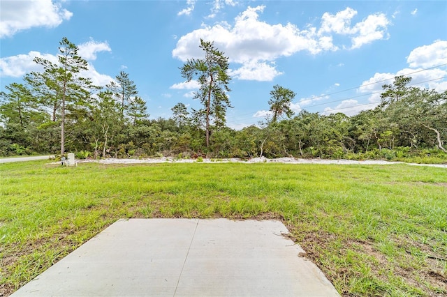 23741 SW Blueberry Ln, Dunnellon, FL 34431 - view of yard with a patio