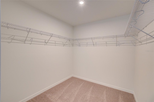 walk in closet with light colored carpet