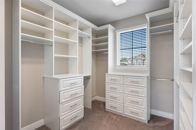 walk in closet with carpet
