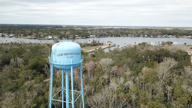 4865 S Tromp Loop Unit 136, Homosassa, FL 34448 - drone / aerial view of a large body of water and a forest