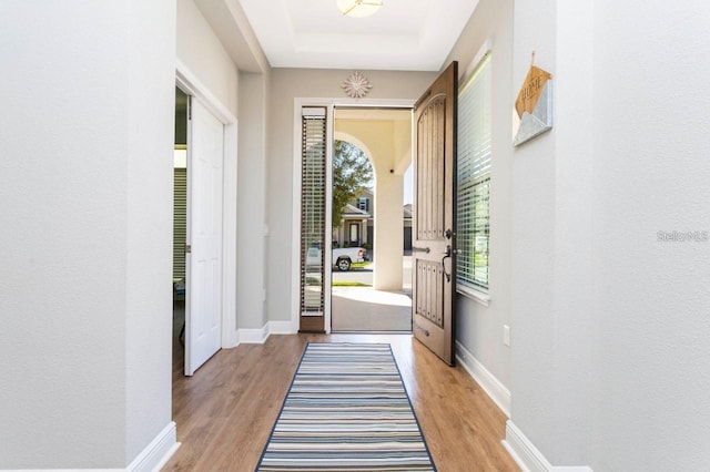 14645 Scott Key Dr, Winter Garden, FL 34787 - foyer featuring a wealth of natural light, light wood-type flooring, and a raised ceiling