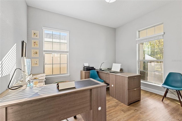 14645 Scott Key Dr, Winter Garden, FL 34787 - home office featuring light wood-style flooring and a healthy amount of sunlight
