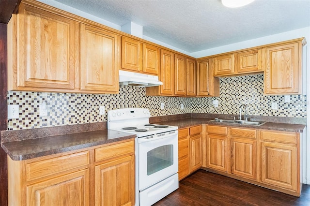 kitchen featuring white electric range oven, dark wood finished floors, a sink, under cabinet range hood, and dark countertops
