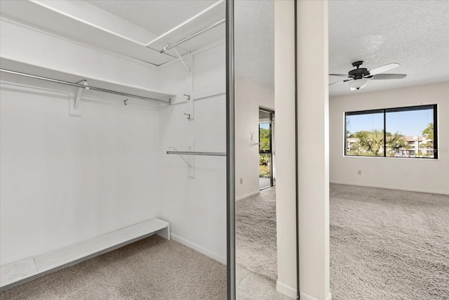 spacious closet featuring carpet and ceiling fan