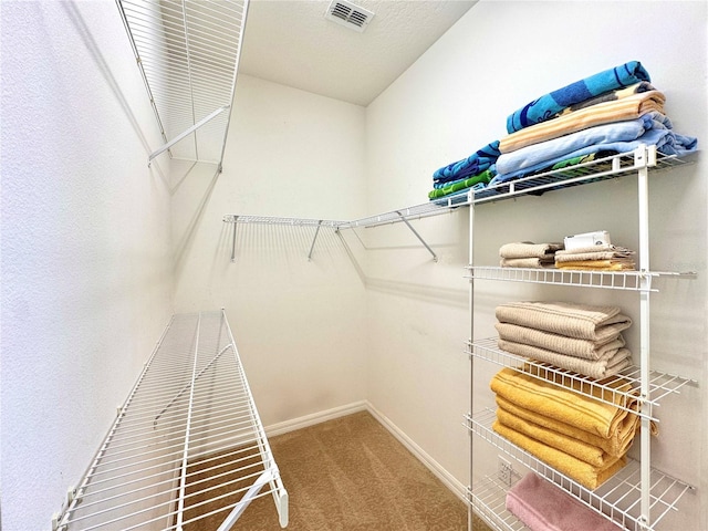 2519 Cypress Trace Cir, Orlando, FL 32825 - spacious closet with carpet