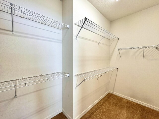 2519 Cypress Trace Cir, Orlando, FL 32825 - walk in closet featuring carpet
