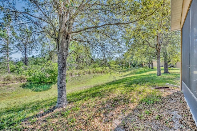 5910 Windsong Oak Dr, Leesburg, FL 34748 - view of yard